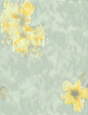 Yara Poplin Midi Dress