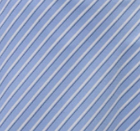 Priya Poplin Shirt Dress