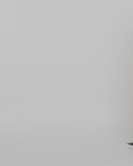 Applique Sculptured Midi Dress