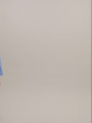 Priya Poplin Shirt Dress