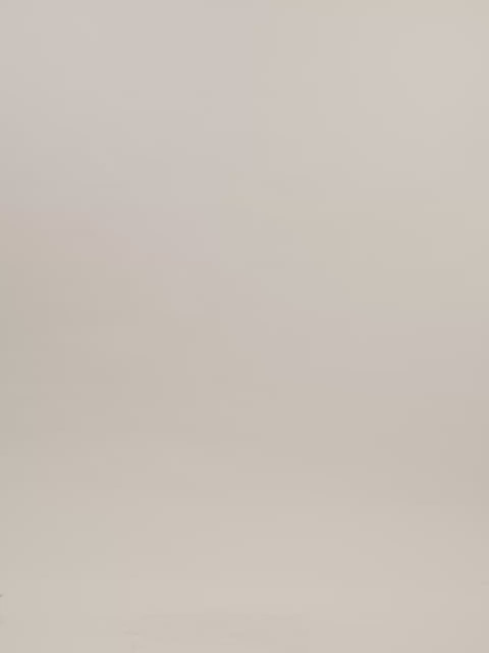 Marietta Crinkle Top