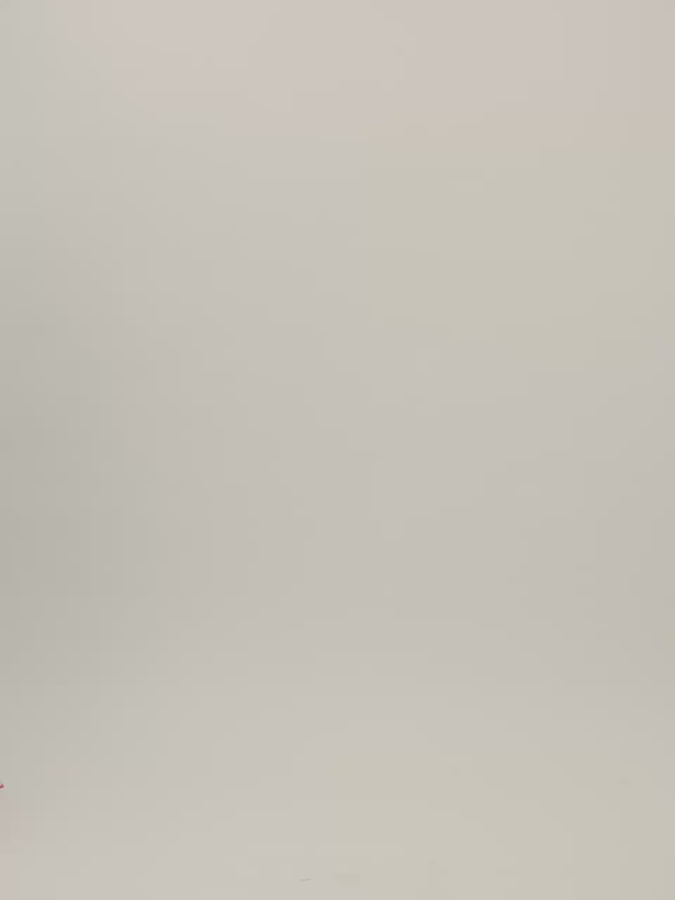 Yara Poplin Shirt