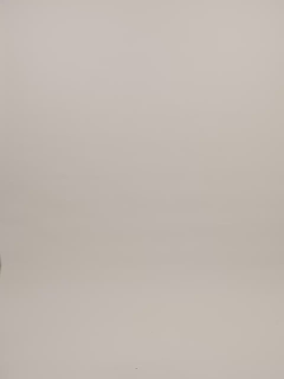 Fiona Stretch Lace Top