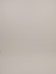 Fiona Stretch Lace Top