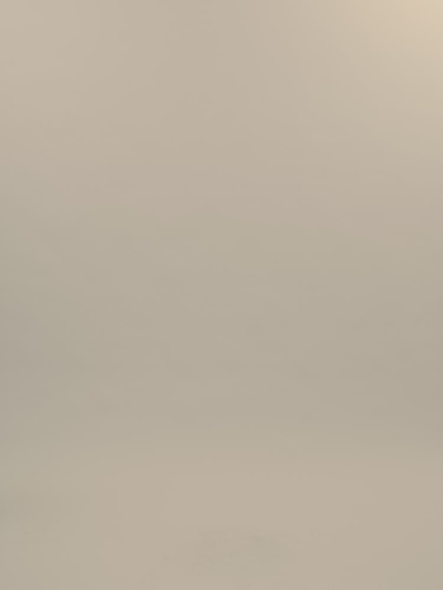 Carmen Garment Dyed Jacket