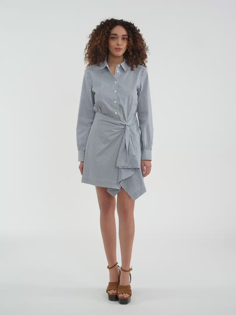 Joselene Poplin Dress